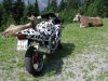 cowandfriends02